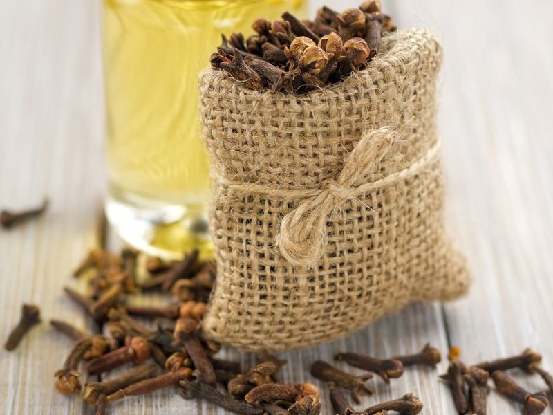 young living clove essential oil